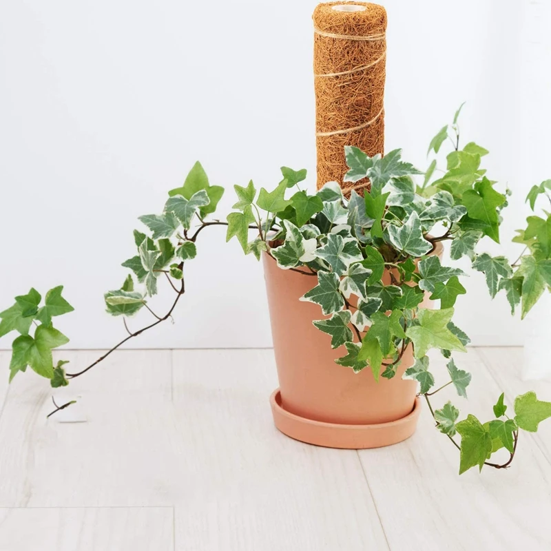 Coir Totem Pole Moss для Monstera Plant pers Ivy альпинизма в помещении на открытом воздухе растения