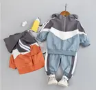 Модные детские костюмы с героями мультфильмов для мальчиков и девочек; Детские Бархатные толстовки с капюшоном; Брюки; 2 шт.компл.; Сезон весна-осень; Хлопковые спортивные костюмы для малышей