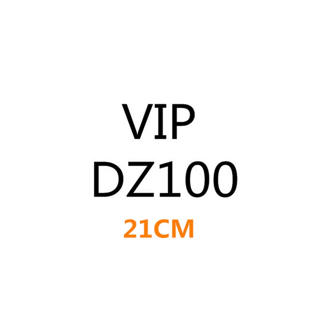 

DZ100-21