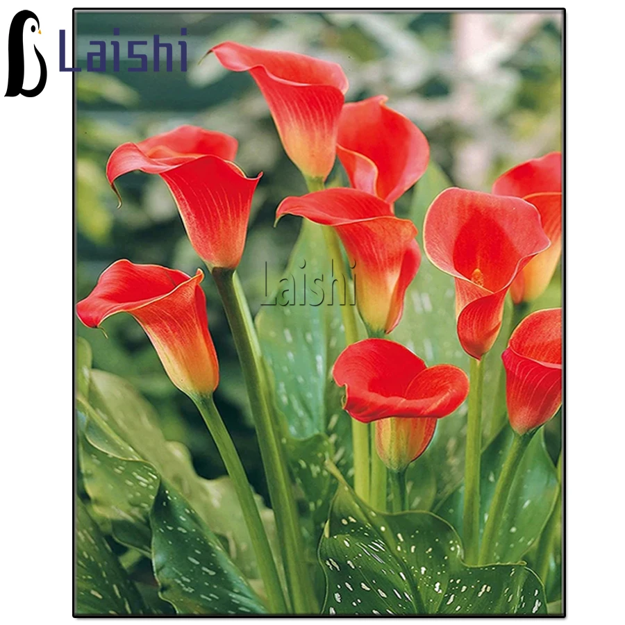 

5D DIY Full Square Round drill Diamond Painting Red Calla Lily Embroidery Cross Stitch mosaic Bedroom Decoration Handmade Gift