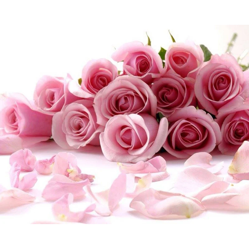 

Full Drill 5d Diamond Painting Kit Pink Rose Flower Hd Print Diy Diamond Embroidery Handicrafts Hotel Decorative Wall Art