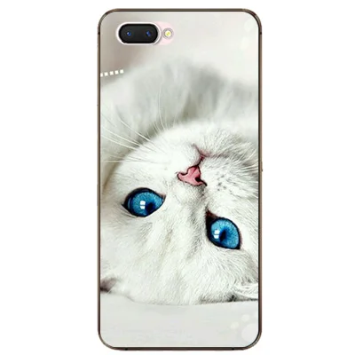 Силиконовый чехол Capas Coque для Oppo A3S CPH1803 CPH1805 6,2 дюймов TPU мягкий чехол для телефона OPPO A5 CPH1809 - Цвет: W13