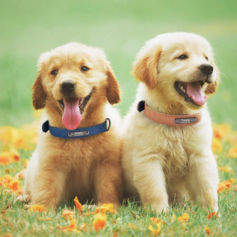

Personalized Dog Collars Customized Puppy Collars With Id Tags Eco-friendly Microfiber Adjustable Size For Large And Small Dog