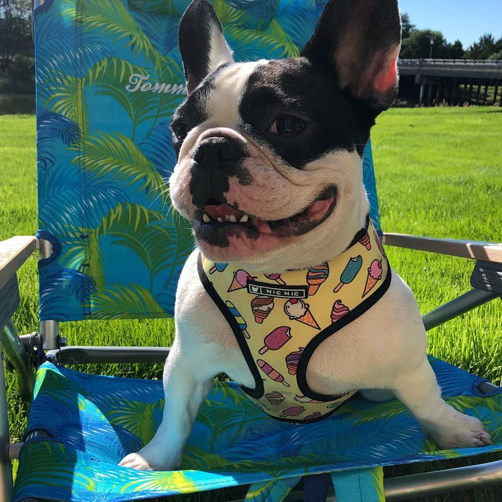 Летняя маленькая собачья упряжь без тяги поводок для маленьких средних собак