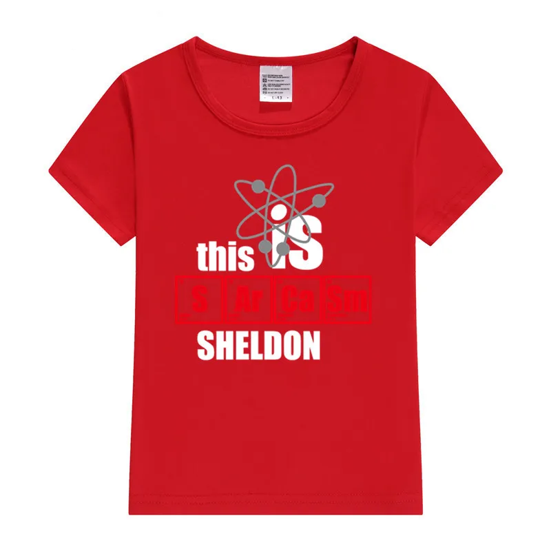 

Boy and Girl The Big Bang Theory Print T Shirt Kid's Shorts Set Children Tops+Pants Outfits Set Cat Clothing Sets,Drop Ship