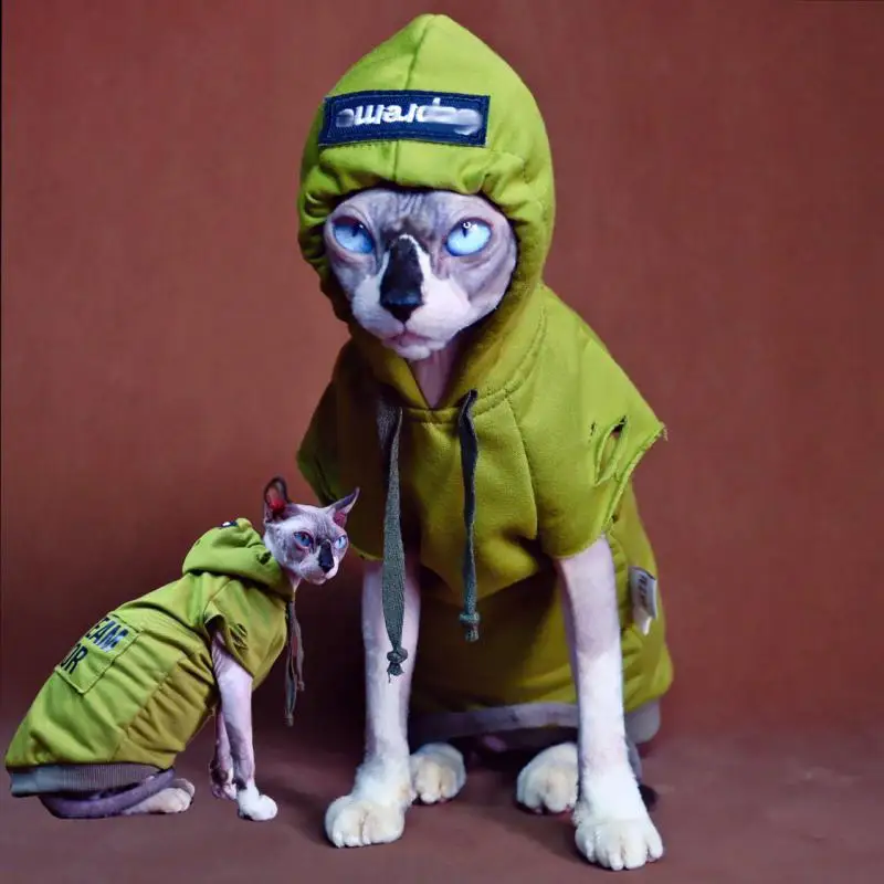 

Одежда для кошек, Осенние костюмы Sphynx, зеленая кошка, для маленьких собак, одежда для домашних животных, одежда для собак и щенков