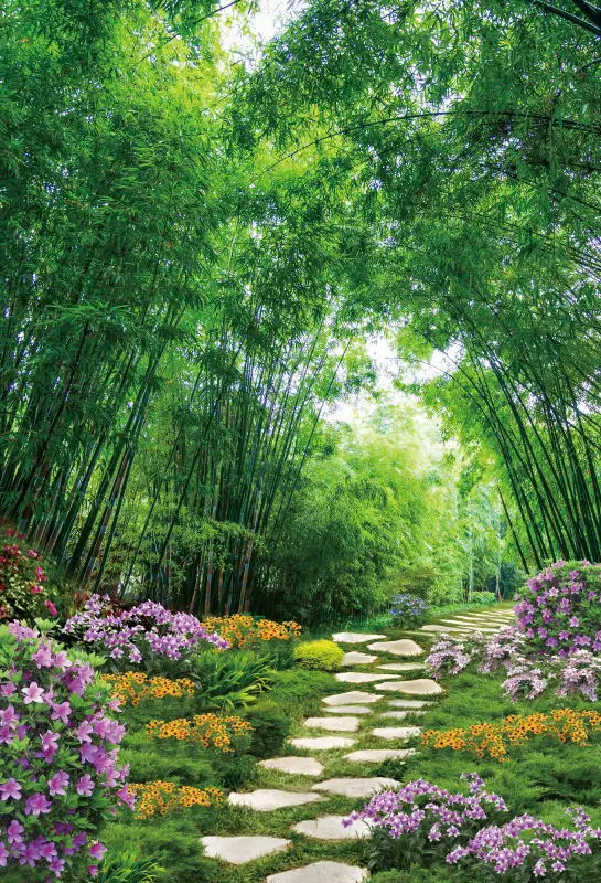 Laeacco Весенний сад Арка ворота деревья трава Живописный пейзаж фотографии фоны