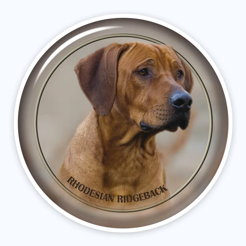 A0690 # различные размеры Съемная наклейка Rhodesian Ridgeback 1 88 водонепроницаемые