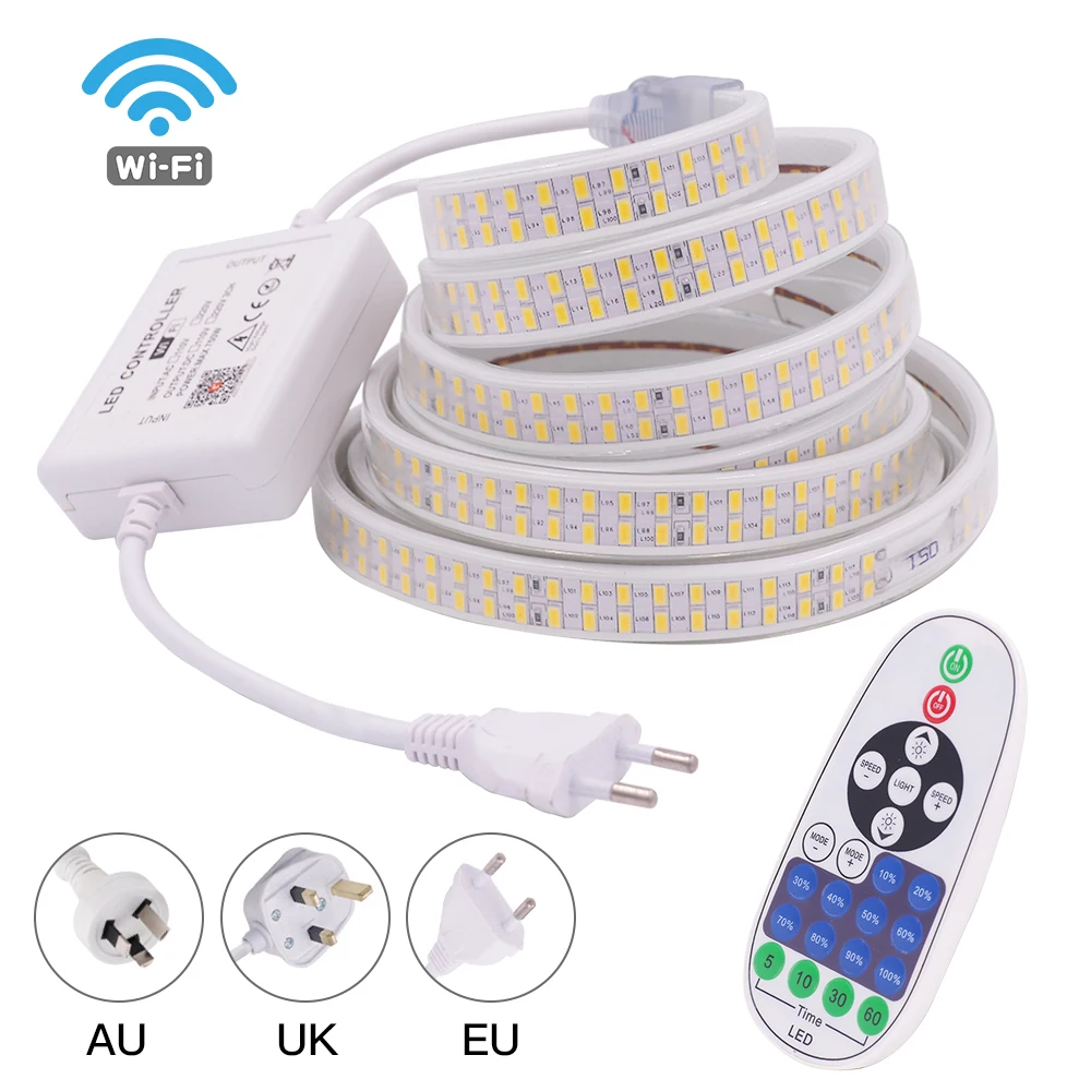 

220V LED Strip Light Remote Control SMD5730 240LEDs/M Super Bright LED Tape Outdoor Lighting IP67 Waterproof Rope Lamp Dimmable