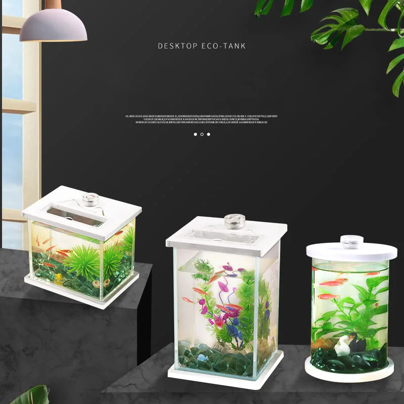 Прозрачный стеклянный аквариум маленький настольный декоративный для гостиной