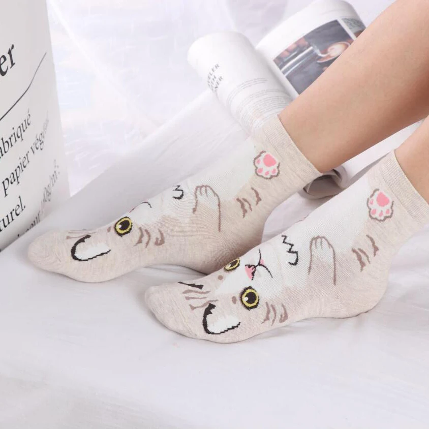 MYORED 5pairs women socks cute funny cat style fashion autumn winter funny socks short ankle sock for girls woman casual dress
