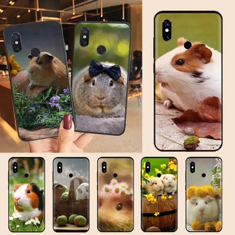 

Guinea Pig cute animal Phone Case For Xiaomi Redmi note 7 8 9 t max3 s 10 pro lite Luxury brand shell funda coque