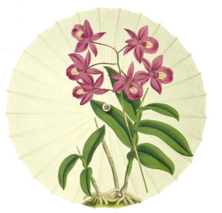 

Traditional Style Ancient Paper Umbrella Oil Paper Painted Classical Umbrella For Home Decoration Cosplay Props