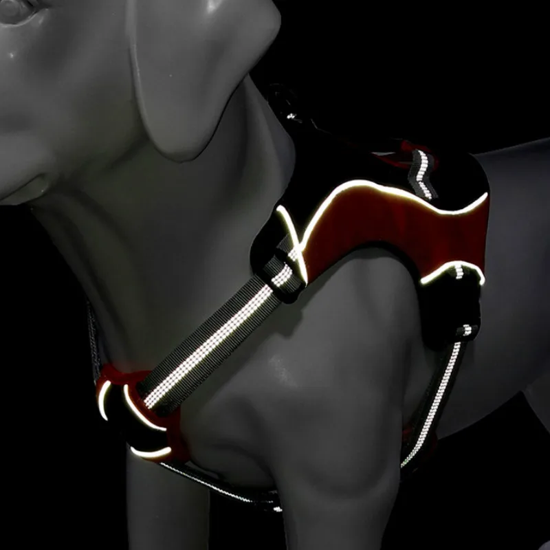 Шлейка поводок для собак полиэстеровый светоотражающий регулируемый набор