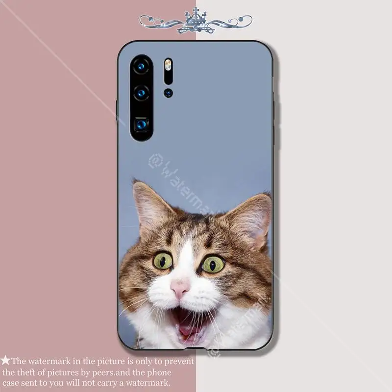 Забавный выражение кошка Роскошный чехол для мобильного телефона Huawei P 20 30 40 Lite Pro