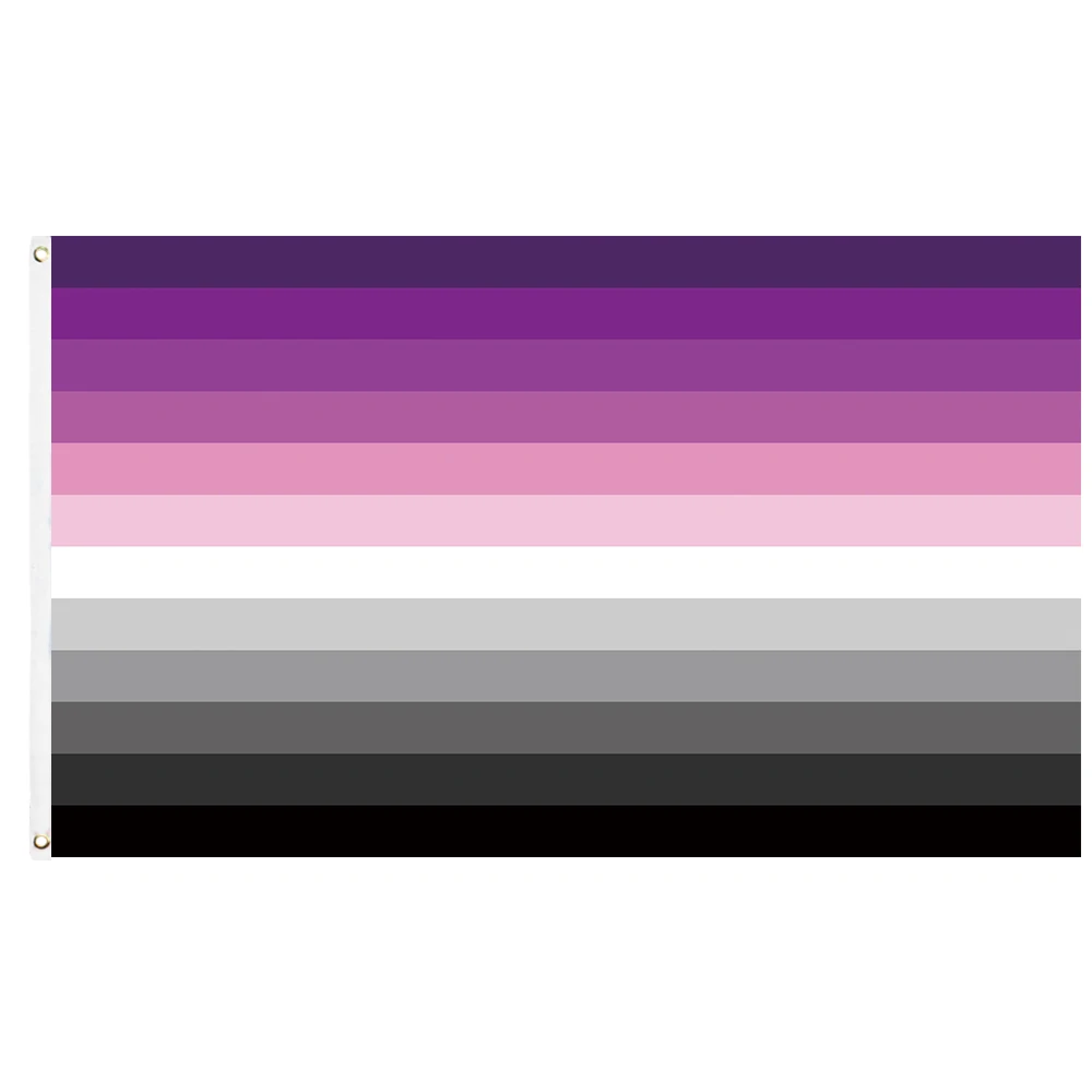 

60x90cm/90x150cm Queerhet LGBT LGBTQIA Gay Pride Flag 2x3ft/3x5ft Rainbow Purple Black Decorate Banner