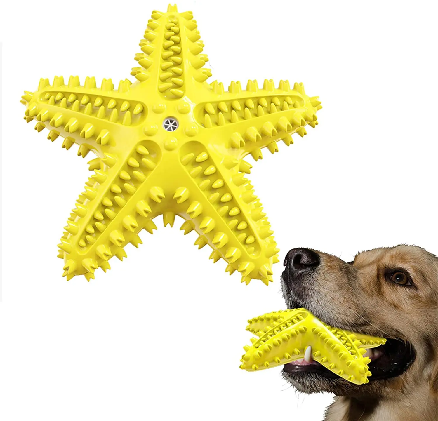 

Dog Chew Toys Squeaky Dog Toys Dog Water Floating Toy Starfish Natural Tooth Brush Teeth Cleaning Toy for Small Medium Dog PT038