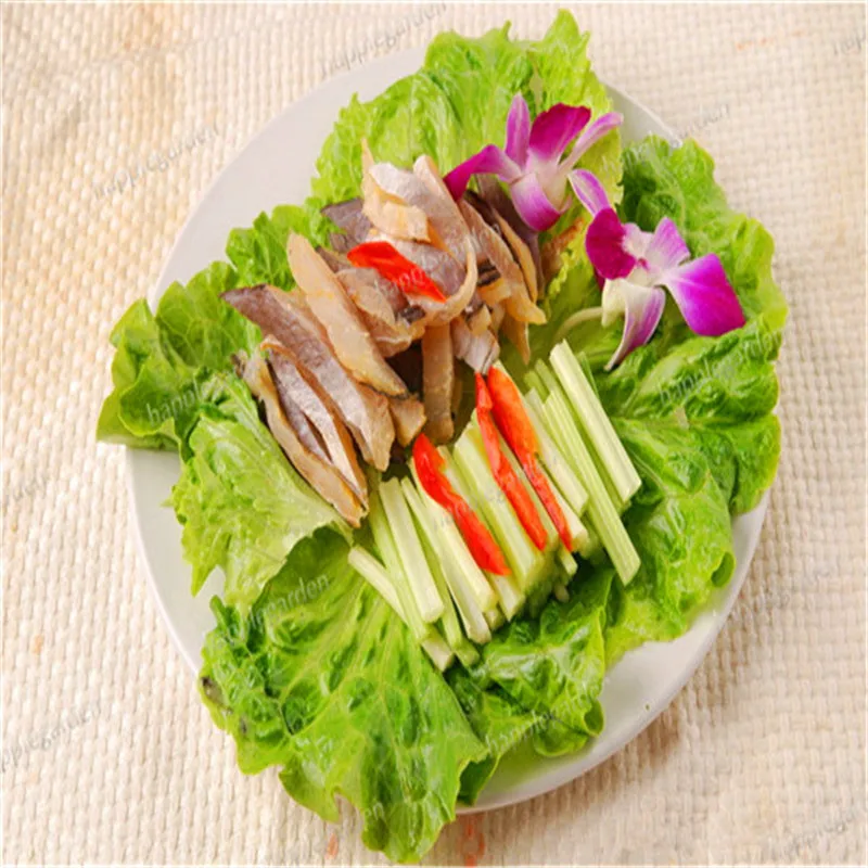 Сельдерея 100 шт |