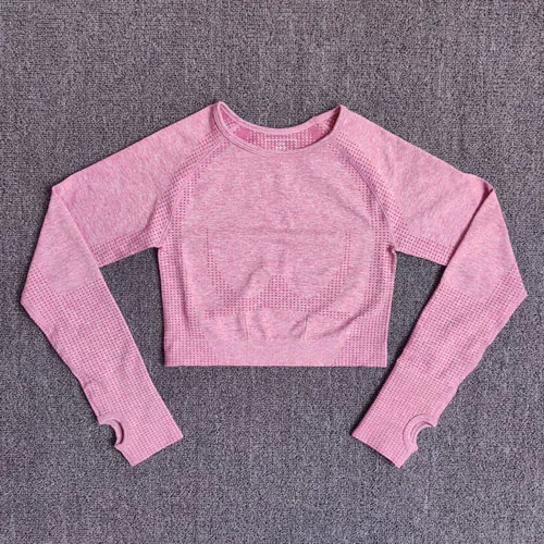 Pink Shirts 2 шт., женские спортивный костюм, бесшовный комплект для йоги, спортивный комплект, высокая талия, леггинсы для бега, спортивные топы для фитнеса, одежда, спортивная одежда - Color: Pink Shirts