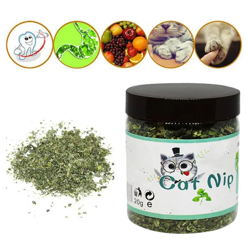 Для котенка маленькая игрушка для кошек полезный питомец безопасный пищевая