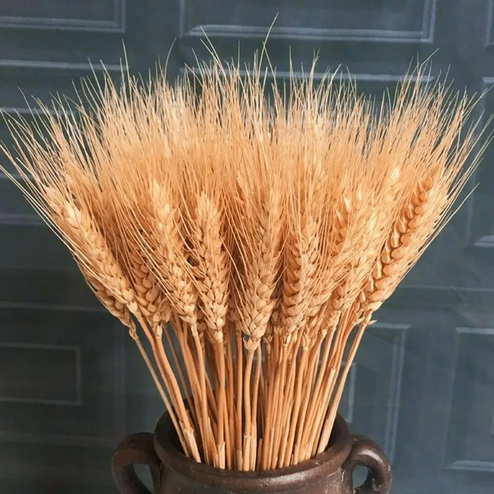 

25 Sticks Of Wheat Natural Decorative Dried Flowers Bouquet Room Dried Living Home Flower Decoration Wedding & C1T5