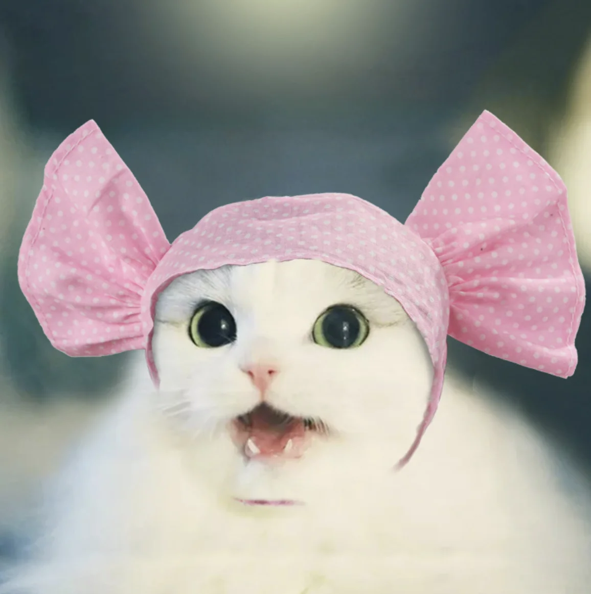 Новые стильные капюшоны для кошек и собак изготовленные вручную карамельные