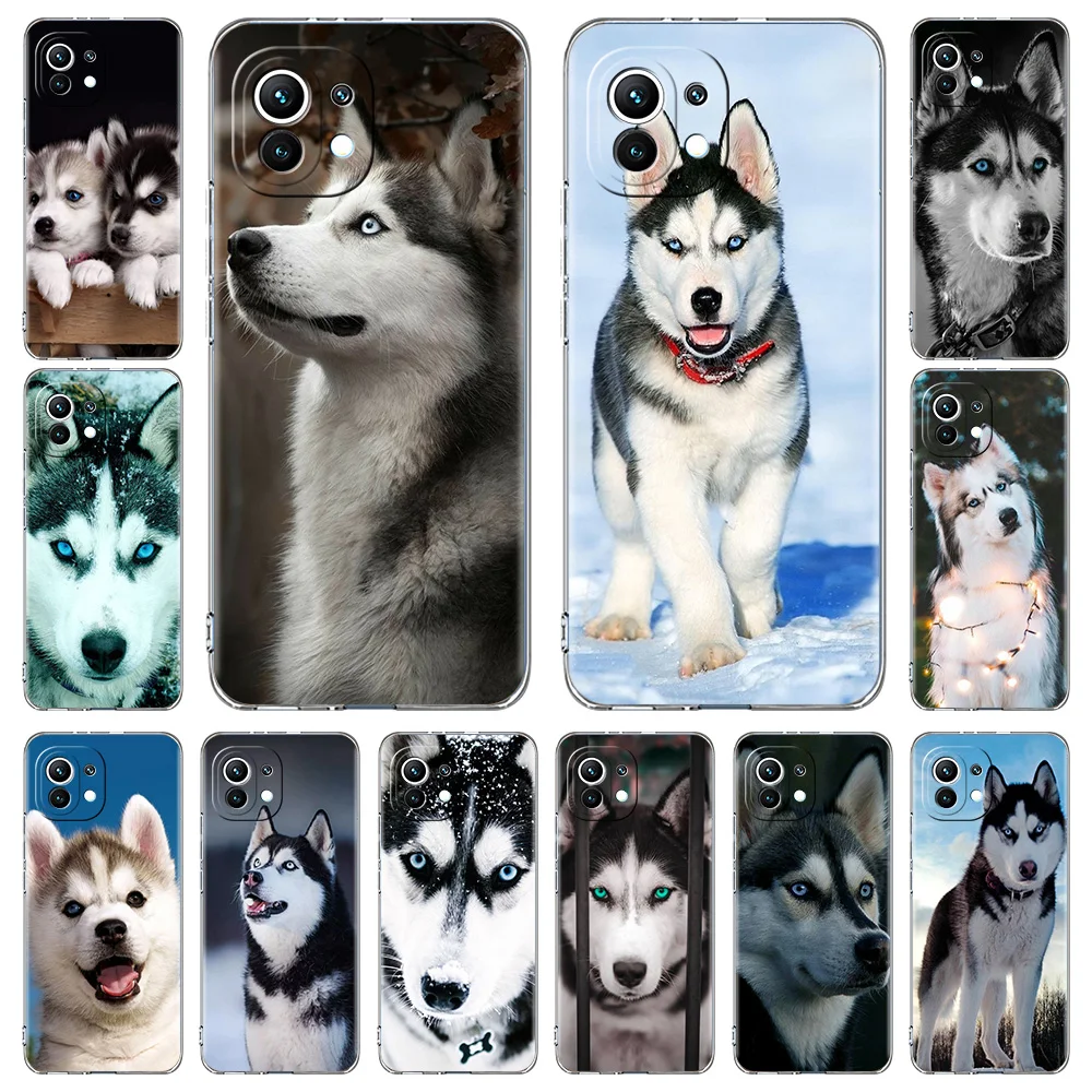 

Alaskan Husky Dog Cute Puppy Luxury Phone Case For Xiaomi Poco X3 NFC X3 Pro M3 Soft Silicone Crystal Clear Cover Protect Funda