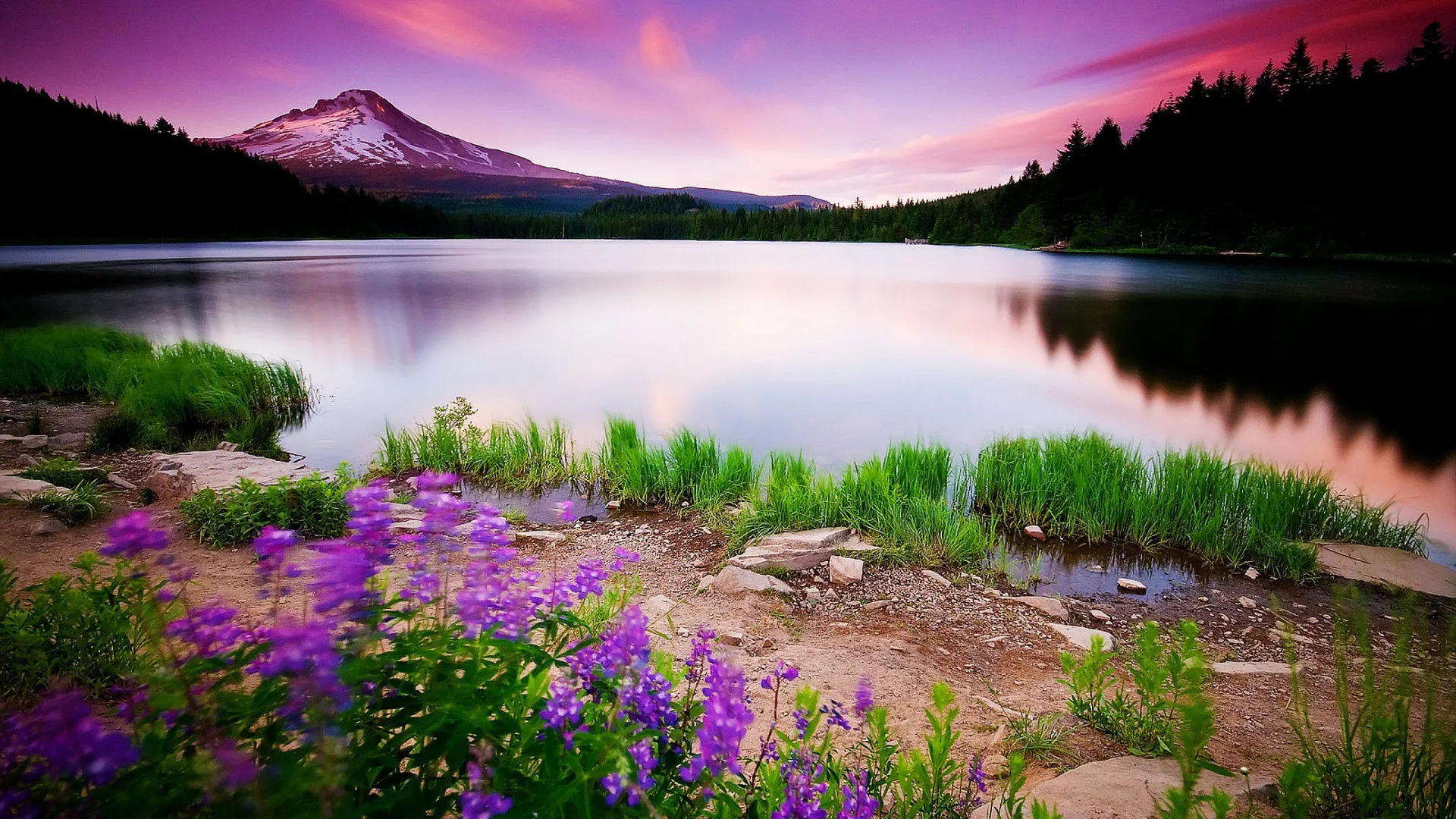 Алмазов картина пейзаж с цветком река 5d Сделай Сам Алмазная мозаика камни в форме