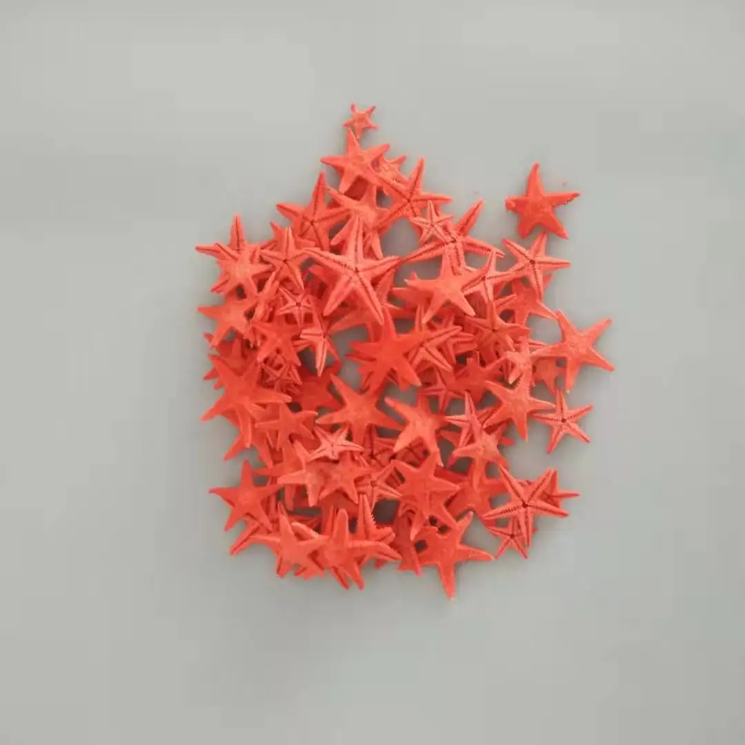 150 шт./лот diy классический корпус из натуральной маленькой морской звезды