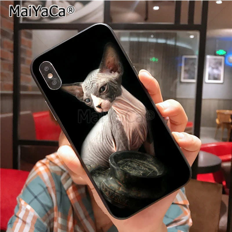 Уникальный силиконовый чехол sphynx cat для iphone 11 12 Pro 6S 6plus 7 7plus 8 8plus X 5 5S Чехол 12mini |