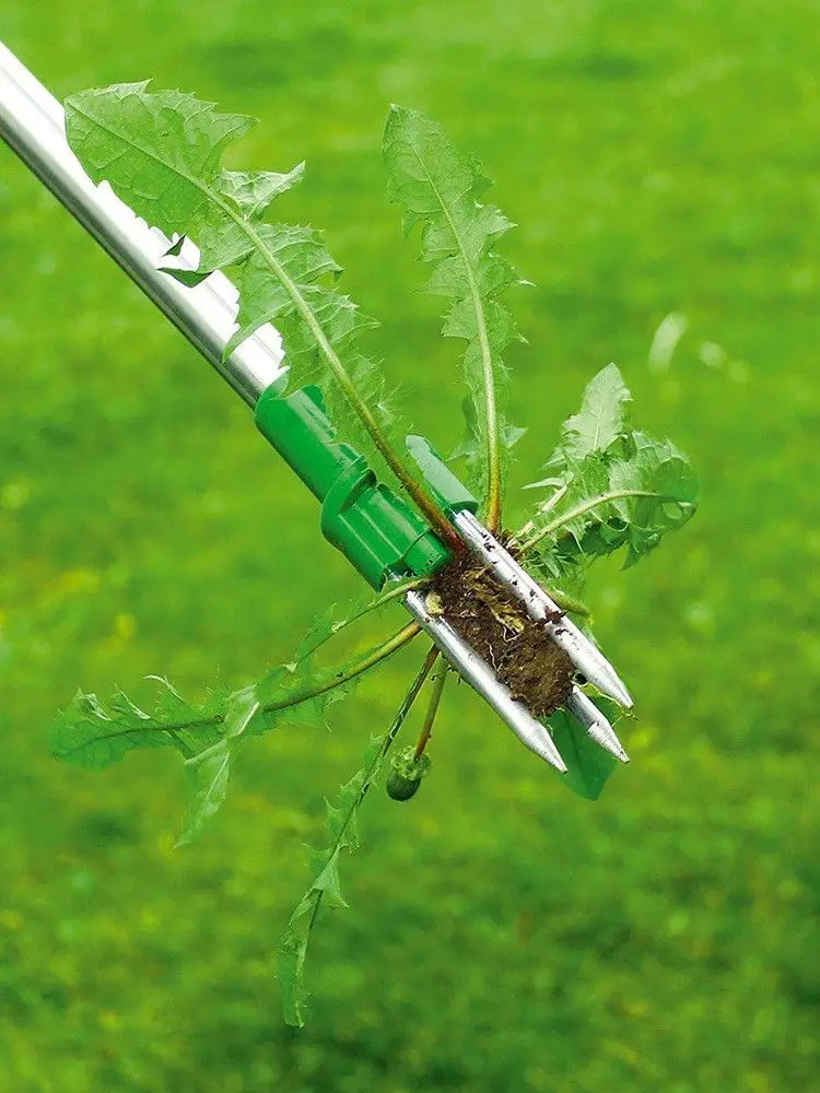 

Weed killer Weed puller Weed cleaner tool NO BEND WEED REMOVER Cross REMOVER Grass Garden Planting Elements Dropshipping