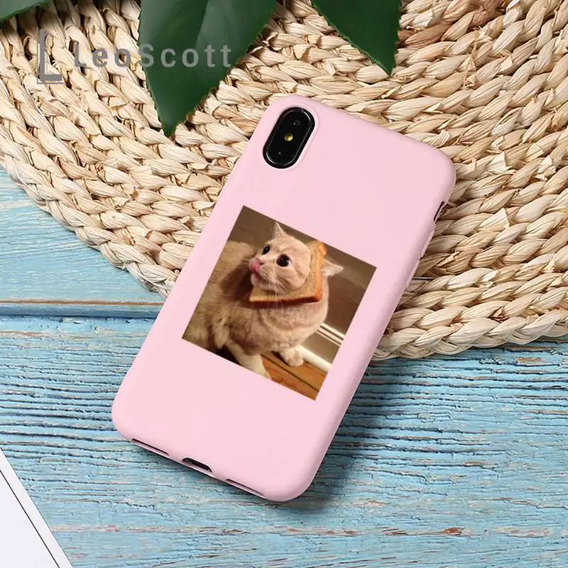

Cute cat funny love pet Phone Case Candy Color for iPhone 11 12 mini pro XS MAX 8 7 6 6S Plus X 5S SE 2020 XR