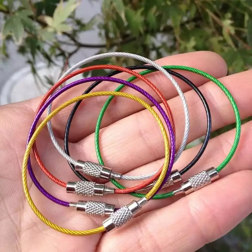 

10PCS Colorful Keychain Cable Rope Screw Lock Stainless Steel Outdoor Small Tools Metal Wire Keychain Key ChainCarabiner