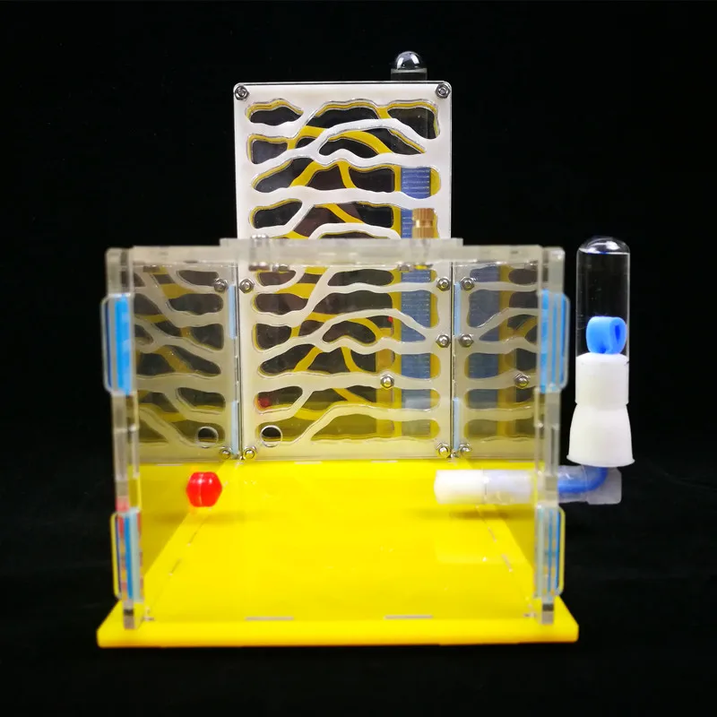 1 шт. дизайн сделай сам с зоной кормления муравьиная ферма из акрила насекомое