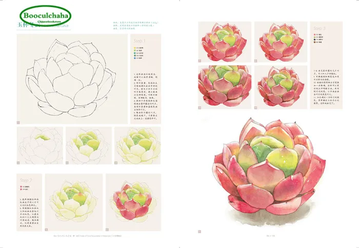 Novice Watercolor technique book :drawing succulent plants Notes of Cute Succulents in | Канцтовары для офиса и дома