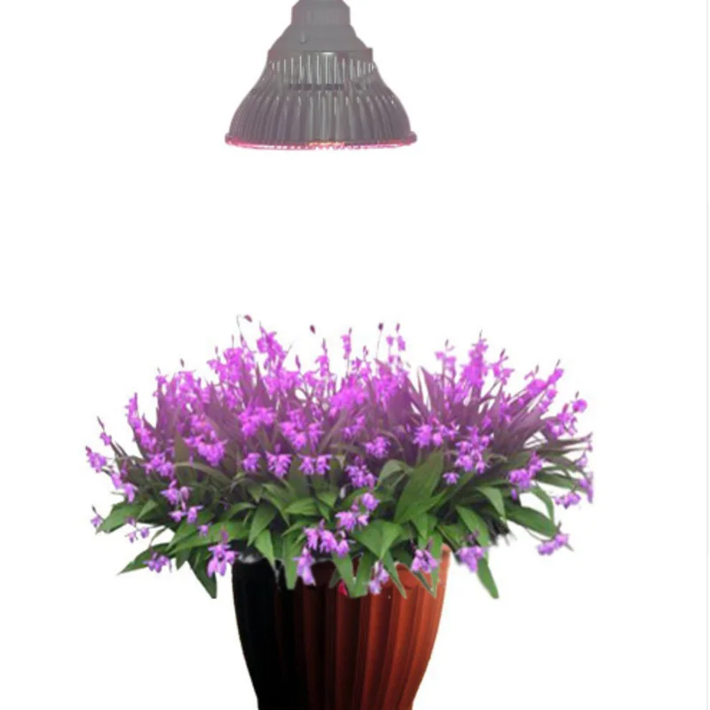 

CanLing Phyto Lamps Full Spectrum E27 Led Plant Light Grow Lamp For Plants 10W 50W Greenhouse Tent Bulbs Dropshipping