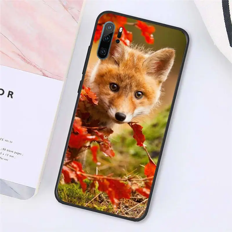 

Fox cute animal Phone Case For Huawei honor Mate P 10 20 30 40 Pro 10i 9 10 20 8x Lite Y91C V17 6.38 6.44