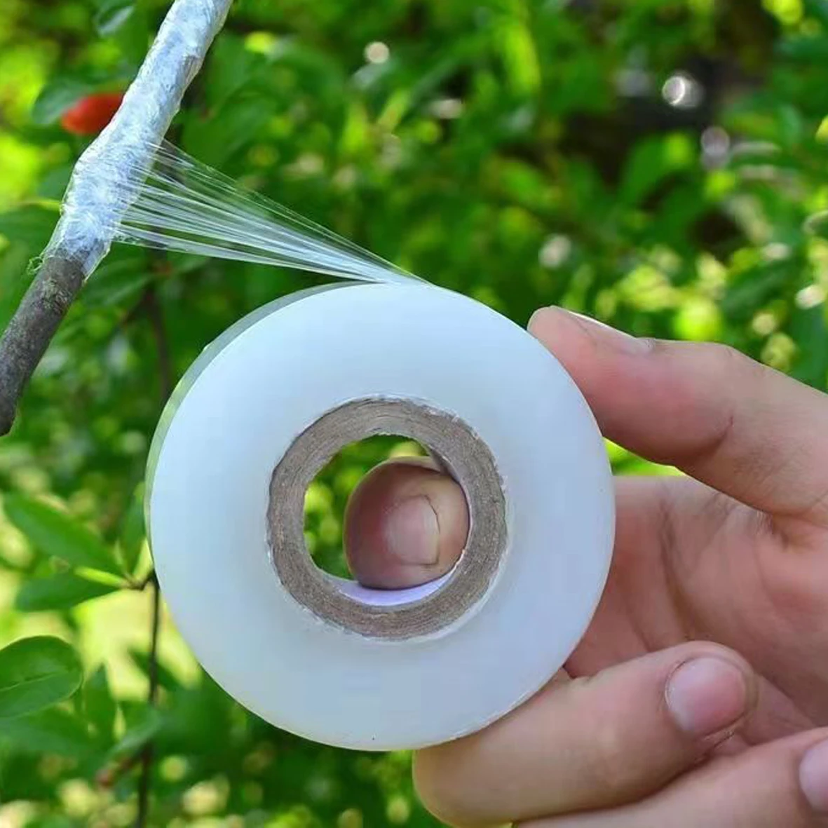 Grafting Tape Film Self-adhesive Portable PE Garden Tree Plants Seedlings Grafting Supplies Stretchable friendly30MM*120M 1x11 inch 87yd 280mm 80m transaparent self adhesive pe protection film duct tape for tablet laptop device surface display