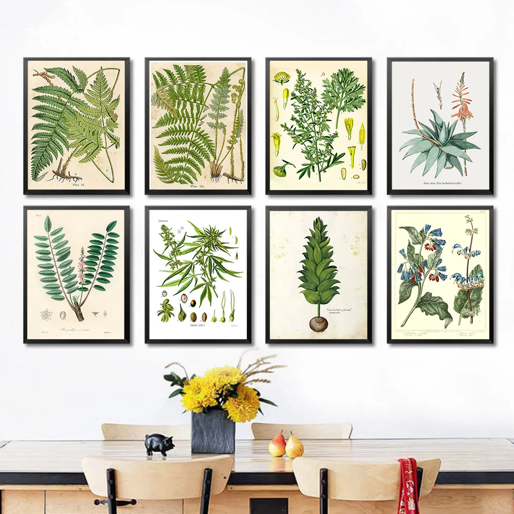 

Vintage Botanical Prints Wildflower Prints Canvas Painting Posters French Plant Illustrations Wall Art Prints Pictures for Home