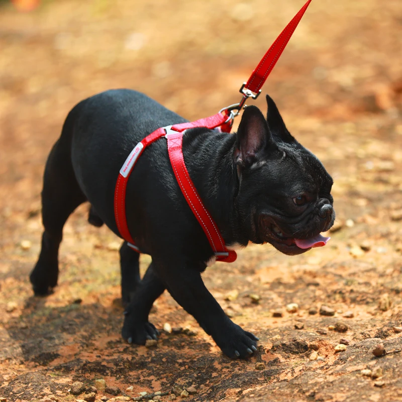 Собачий поводок для прогулок собак экологически чистый дышащий нейлоновый