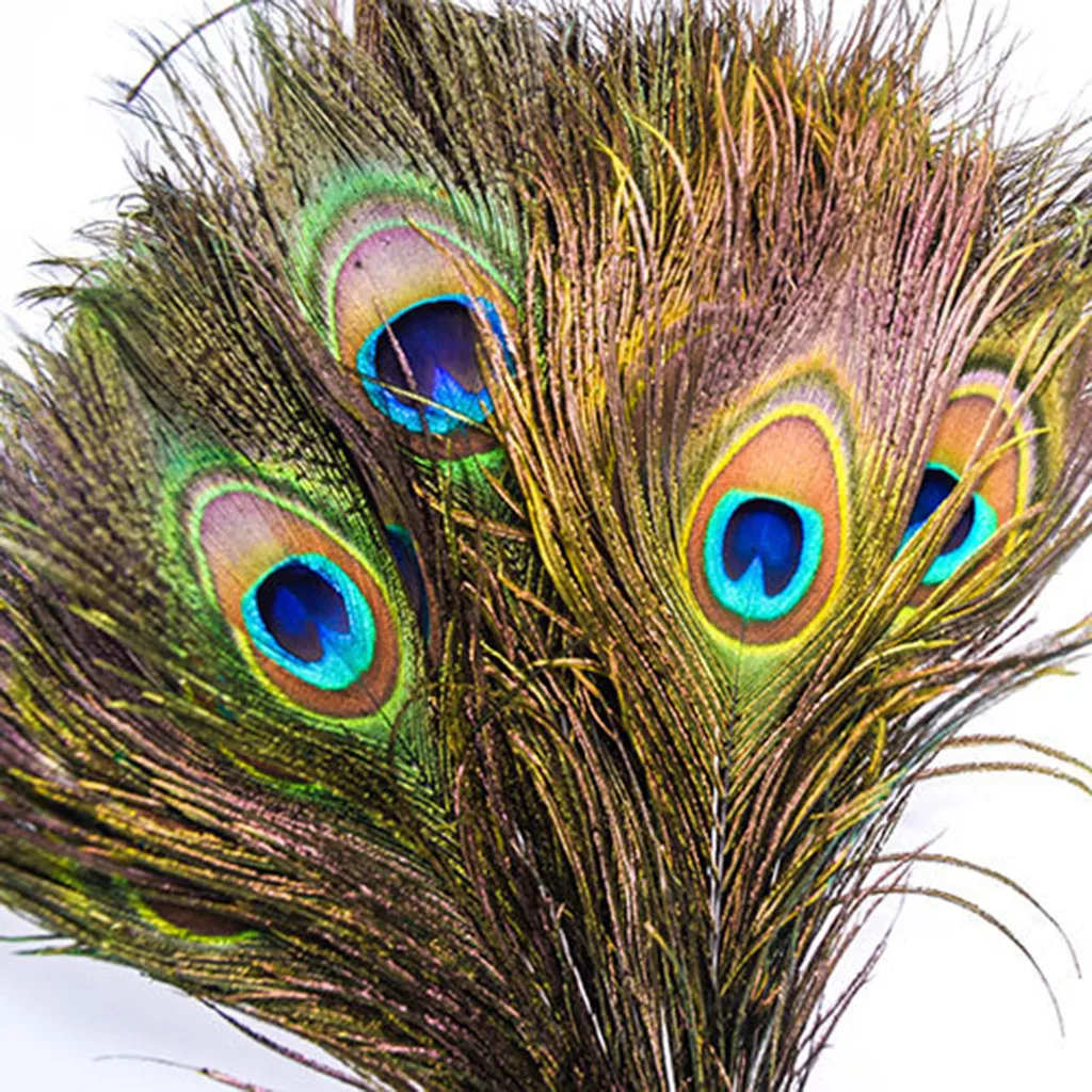 Много натуральных перьев Павлин хвост сделай сам большая ваза с павлиньими