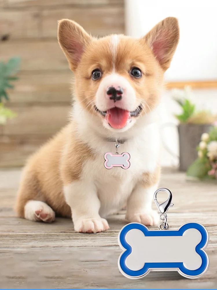 Лидер продаж Оптовая Продажа цинковый сплав Кости Dog Tag персонализированные