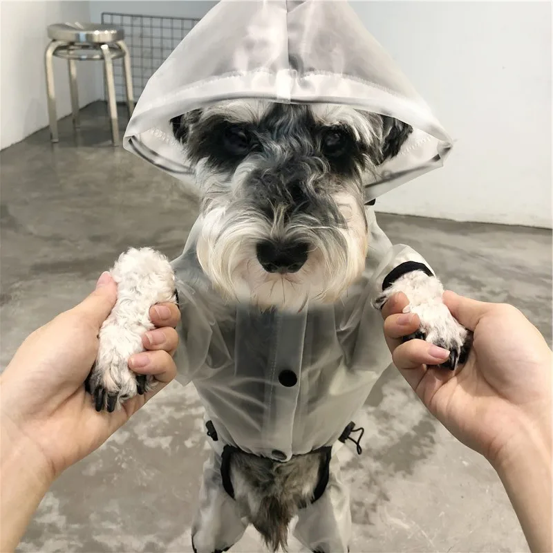 

Прозрачный дождевик с надписью ФБР (Водонепроницаемый одежда с принтом в виде собак комбинезон Ran куртка своего померанского шпица с рисунк...