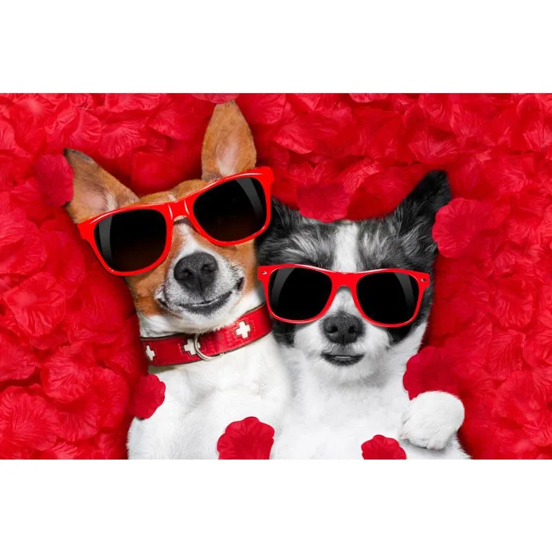 Плакат на стену с принтом собак и чихуахуа 40 х60 см 50 х75 60 х90 | Дом сад