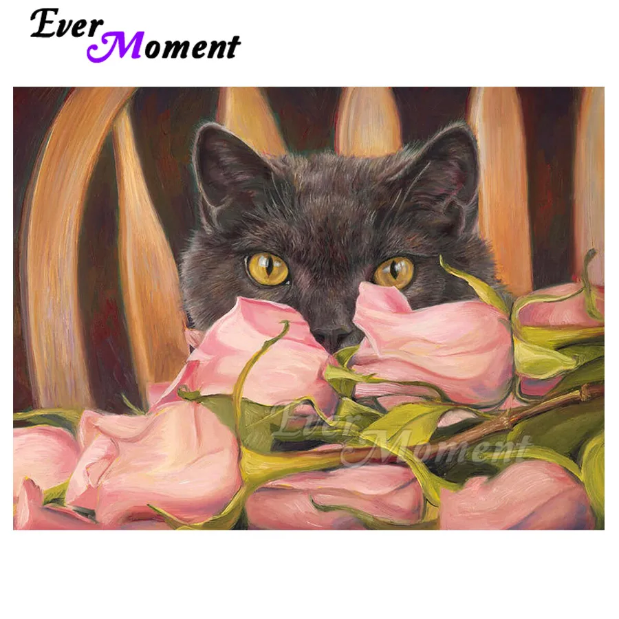 

Ever Moment Diamond Painting Cat Picture Full Square Resin Drills Home Wall Art Handicraft Diamond Display For Giving ASF2197