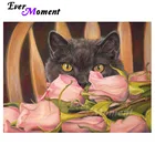 Алмазная живопись с котом Ever Instant, картина, полная квадратная смола, сверла, стена для дома, бриллиантовый дисплей для подарка ASF2197
