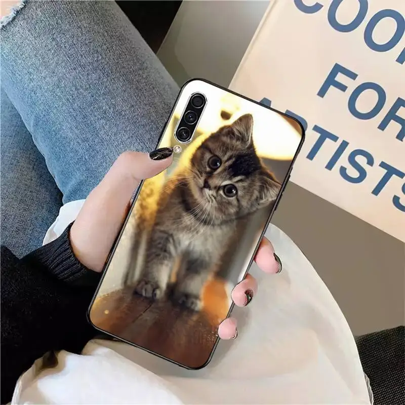 

cat Naughty and cute high quality Phone Case For Samsung galaxy S 9 10 20 A 10 21 30 31 40 50 51 71 s note 20 j 4 2018 plus