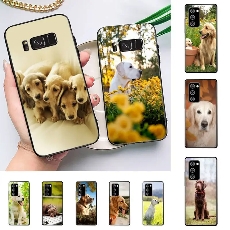 

Labrador Dog Phone Case For Samsung Galaxy Note 10Pro 20ultra cover for note 20 note10lite M30S