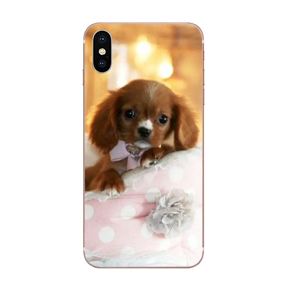 Кавалер King Charles Spaniel щенки собаки для Huawei P7 P8 P9 P10 P20 P30 Lite Mini Plus Pro Y9 Prime P Smart Z 2018 2019 |