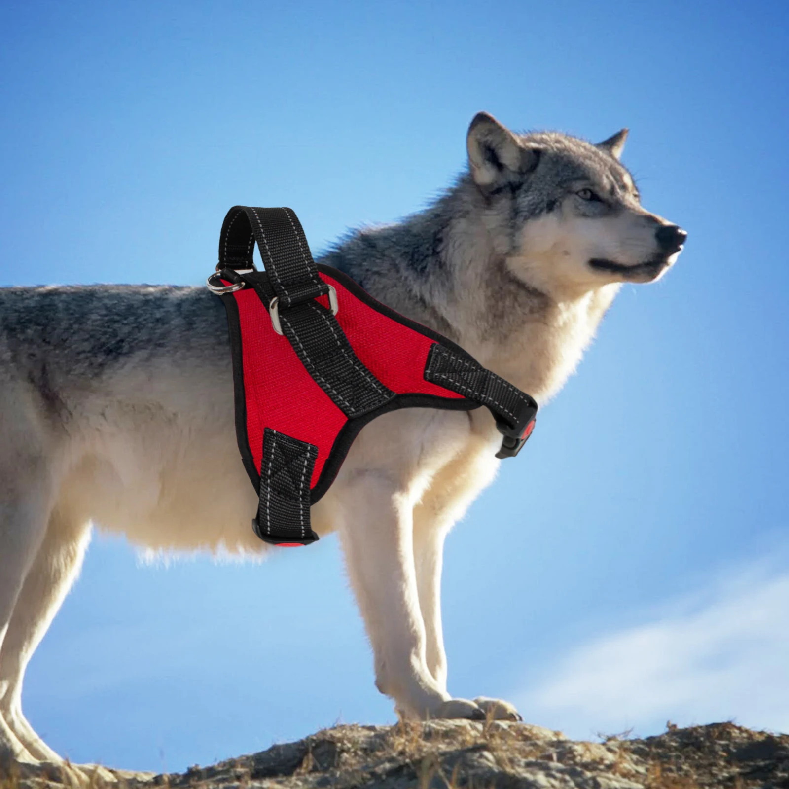 

Светоотражающий нагрудный ремень для домашних животных, поводок безопасности для маленьких и больших собак, кошек, щенков, чихуахуа, бульдо...